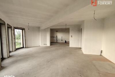 Casă cu 4 camere în Sânandrei
