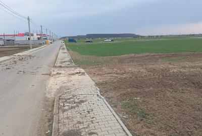 Teren Construcții intravilan de 5000 mp, în Dragomirești-Deal - 1
