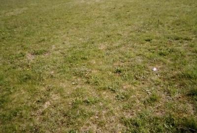 Teren agricol extravilan de 27500 mp, în Geoagiu-Băi - 9