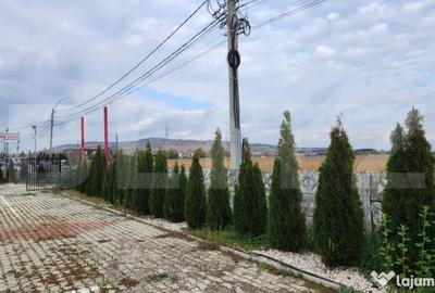 Teren de 7800 mp, în Unirii - 4