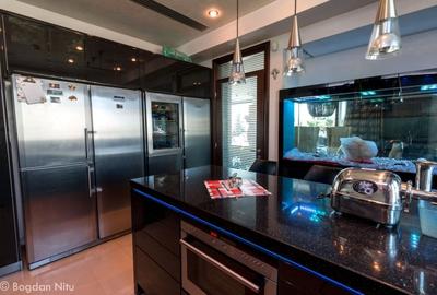 Penthouse cu 6 camere decomandat în Herăstrău - 10