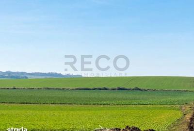 Teren de 42050 mp, în Tăut - 3