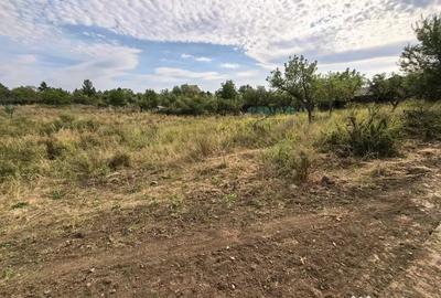Teren în Chicerea