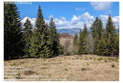 Teren de 4000 mp, în Fundata - 11