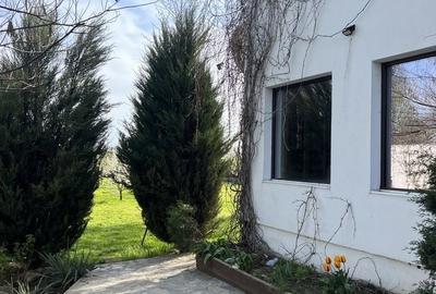 Casă cu 6 camere cu Teren 1416 Mp în Ciulnița - 1