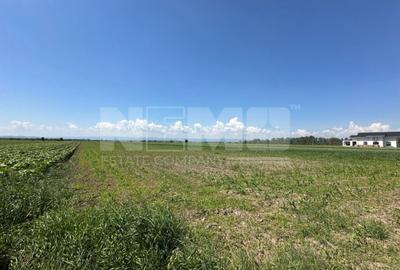 Teren agricol extravilan de 5300 mp, în Frătăuții Vechi - 4