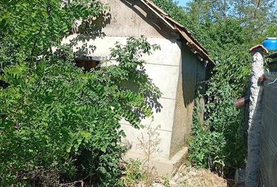 Casă cu Teren 1800 Mp în Cilibia - 4