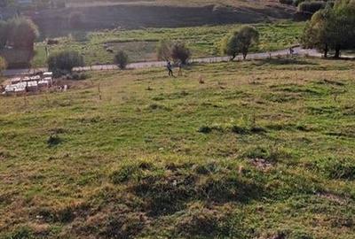 Teren Construcții intravilan de 1405 mp, în Sohodol - 1