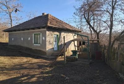 Casă cu 3 camere cu Teren 33400 Mp în Căzănești