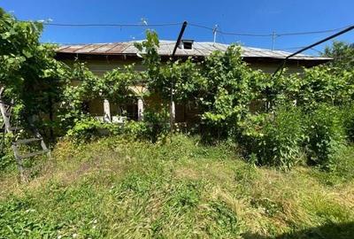 Teren de 17700 mp, în Gura Foii - 7