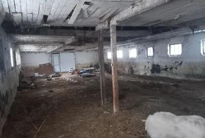 Spațiu comercial, de 700 mp, în Cheia - 3