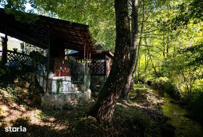 Casă cu 3 camere cu Teren 350 Mp în Livezile