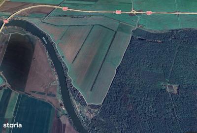 Teren de 48900 mp, în Vladimirescu - 1