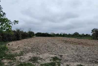 Teren de 3300 mp, în Săbiești - 1