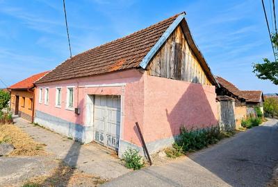 Casă cu 3 camere cu Teren 569 Mp în Bănia
