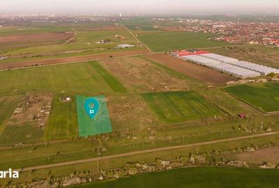 Teren de 6150 mp, în Livada - 1