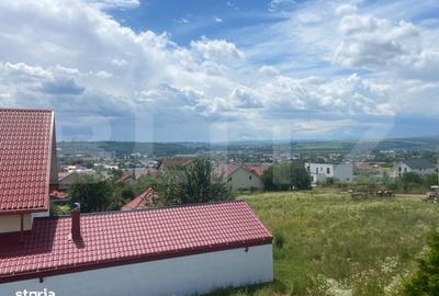 Casă cu 3 camere în Paltin