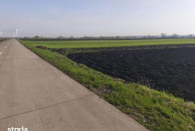 Teren de 9300 mp, în Satu Mare - 1