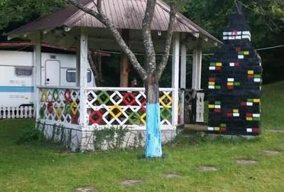 Casă cu Teren 4000 Mp în Central - 8