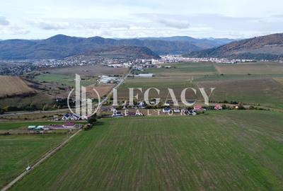 Teren agricol intravilan de 10000 mp, în Gârcina - 10