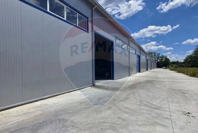 Spațiu industrial, de 9,618 mp, în Central - 9
