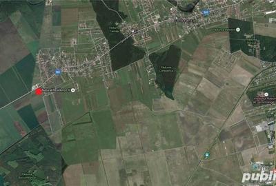 Teren de 503 mp, în Tamași - 5