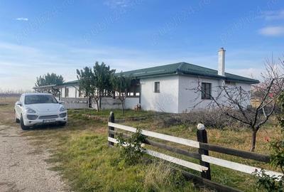 Teren de 370000 mp, în Pietroasele - 10