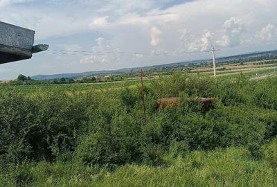 Casă cu Teren 1300 Mp în Tărcaia - 1