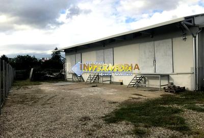 Spațiu industrial, de 200 mp, în Ampoi 3