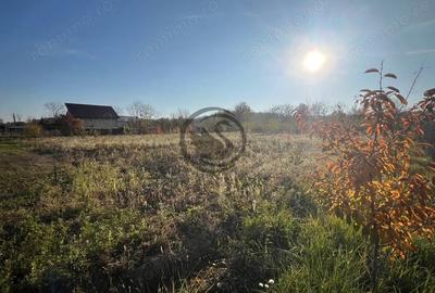 Teren de 12650 mp, în Ghirdoveni - 13