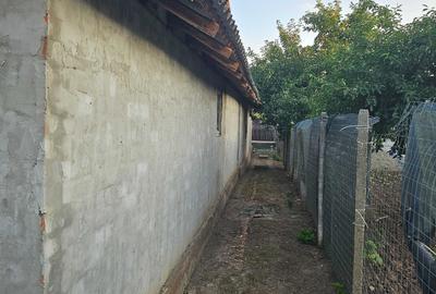 Casă cu 4 camere în Manasia