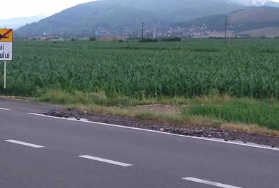 Teren de 2900 mp, în Stupinii Prejmerului - 2