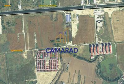 Teren Construcții intravilan de 2375 mp, în Popești-Leordeni - 4