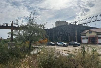 Teren Construcții intravilan de 55228 mp, în Mihai Bravu - 1