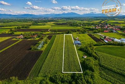 Teren intravilan de 5800 mp, în Dobolii de Jos - 3