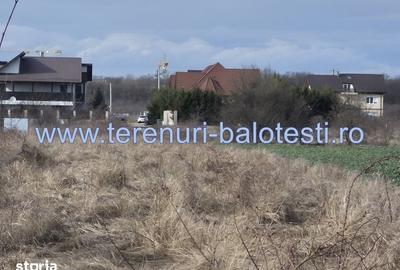 Teren de 540 mp, în Stănișești