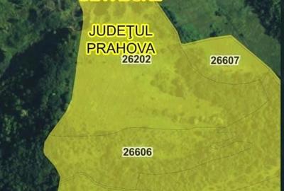Teren de 110155 mp, în Filipeștii de Pădure