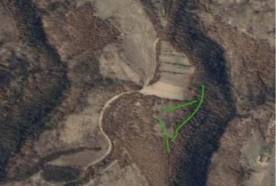 Teren de 90000 mp, în Zăsloane