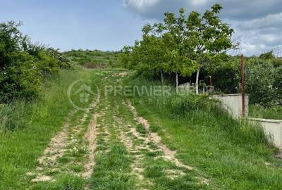 Teren agricol extravilan de 952 mp, în Bucium - 4