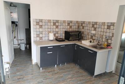 Casă cu 2 camere cu Teren 823 Mp în Rusca - 3