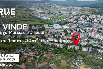 Garsonieră în Tudor