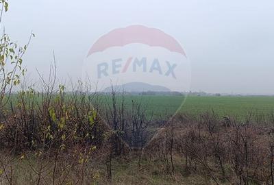 Teren extravilan de 5000 mp, în Balotești - 2