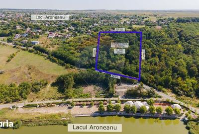 Teren de 11330 mp, în Aroneanu