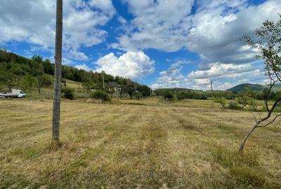 Teren de 5200 mp, în Tranișu - 5