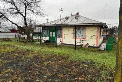 Casă cu 5 camere în Viișoara