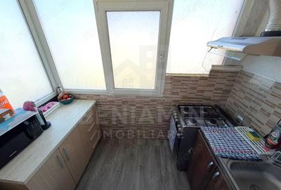 Apartament cu 2 camere decomandat în Lăpuș Argeș - 6