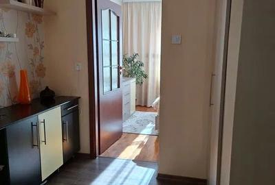 Apartament cu 3 camere decomandat în Livezeni - 6