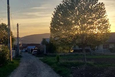 Teren de 4282 mp, în Târgu Trotuș