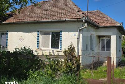 Casă cu 4 camere cu Teren 13000 Mp în Vetiș