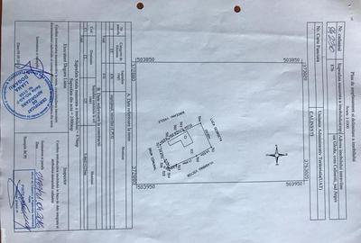 Casă cu 3 camere cu Teren 3000 Mp în Gorganu - 6